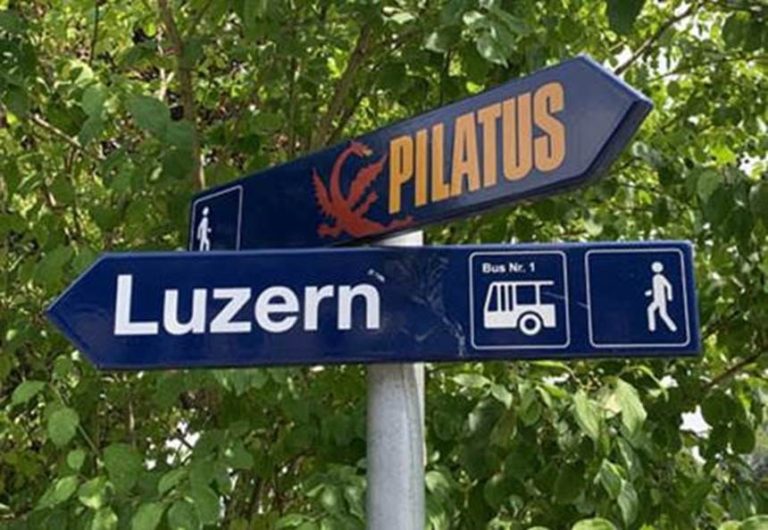 DIFFERENCE BETWEEN LUCERNE AND LUZERN visual data 6